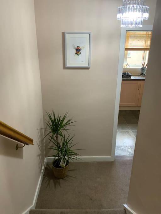 Home From Home, 3 Bedroom House In Hawick Bagian luar foto